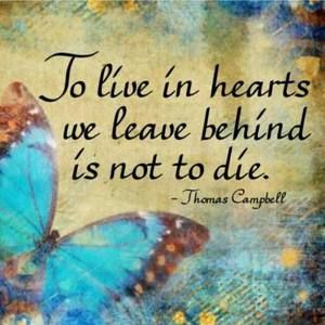 Meet your Posher, Dorothy